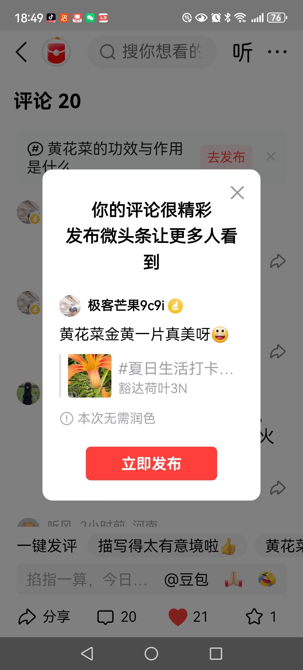 黄花菜金黄一片真美呀😃