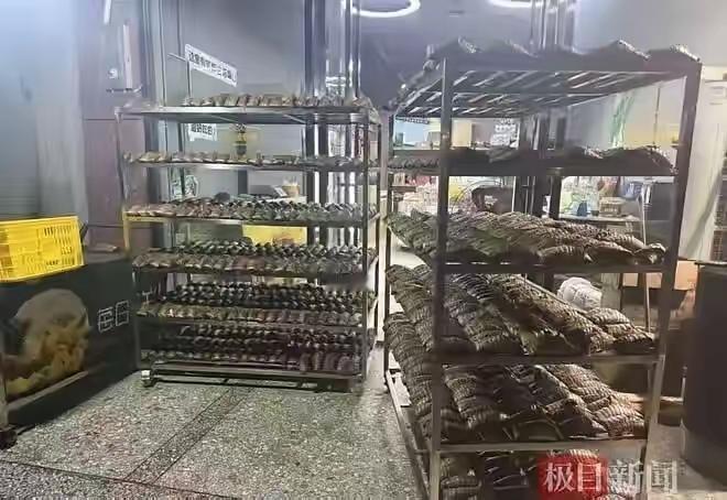最动人的中国式善良！广西姑娘自掏腰包，街坊通宵接力，2200个热粽温暖整座灾区
