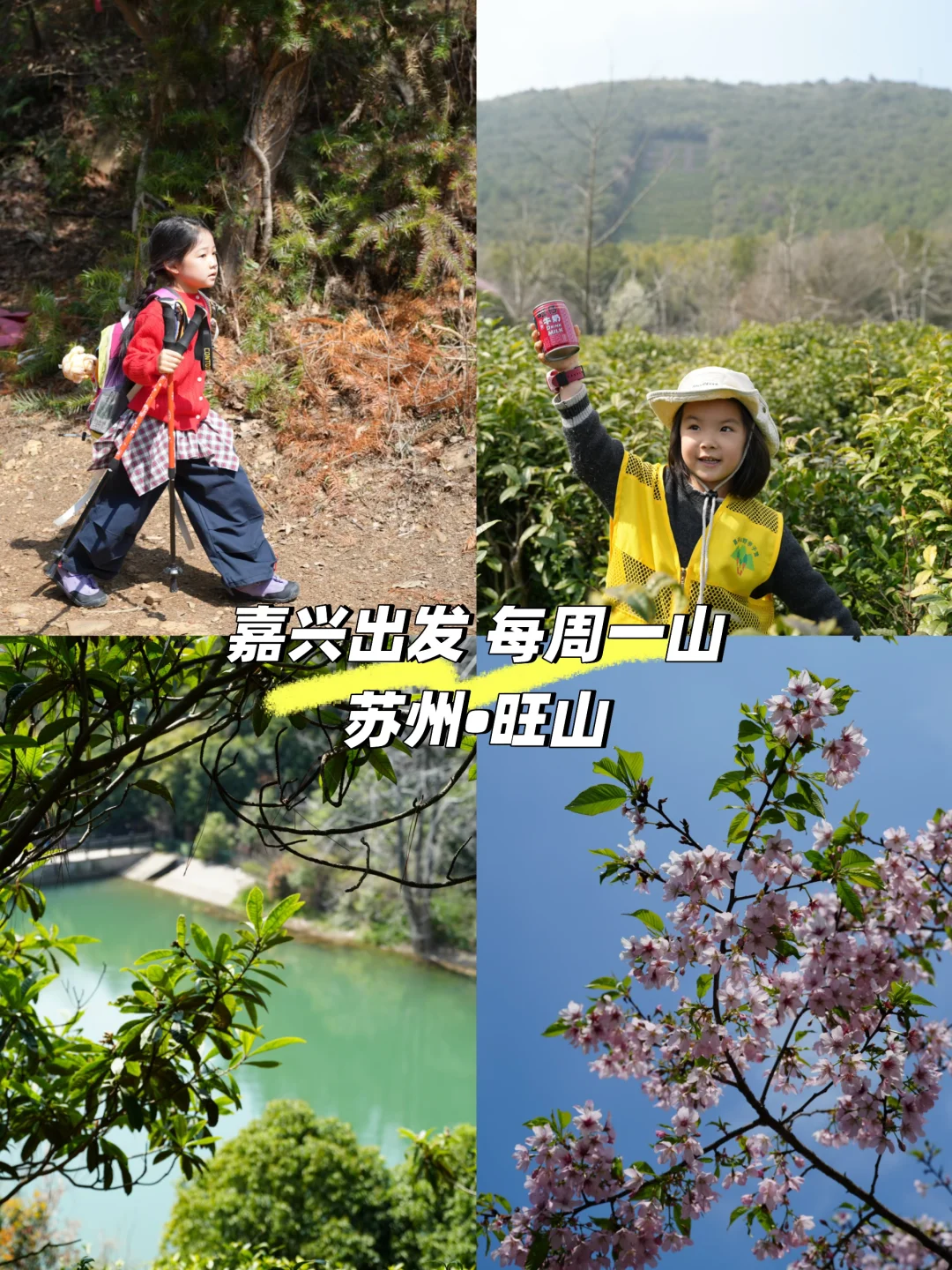 苏州旺山亲子徒步｜零难度遛娃环线✨