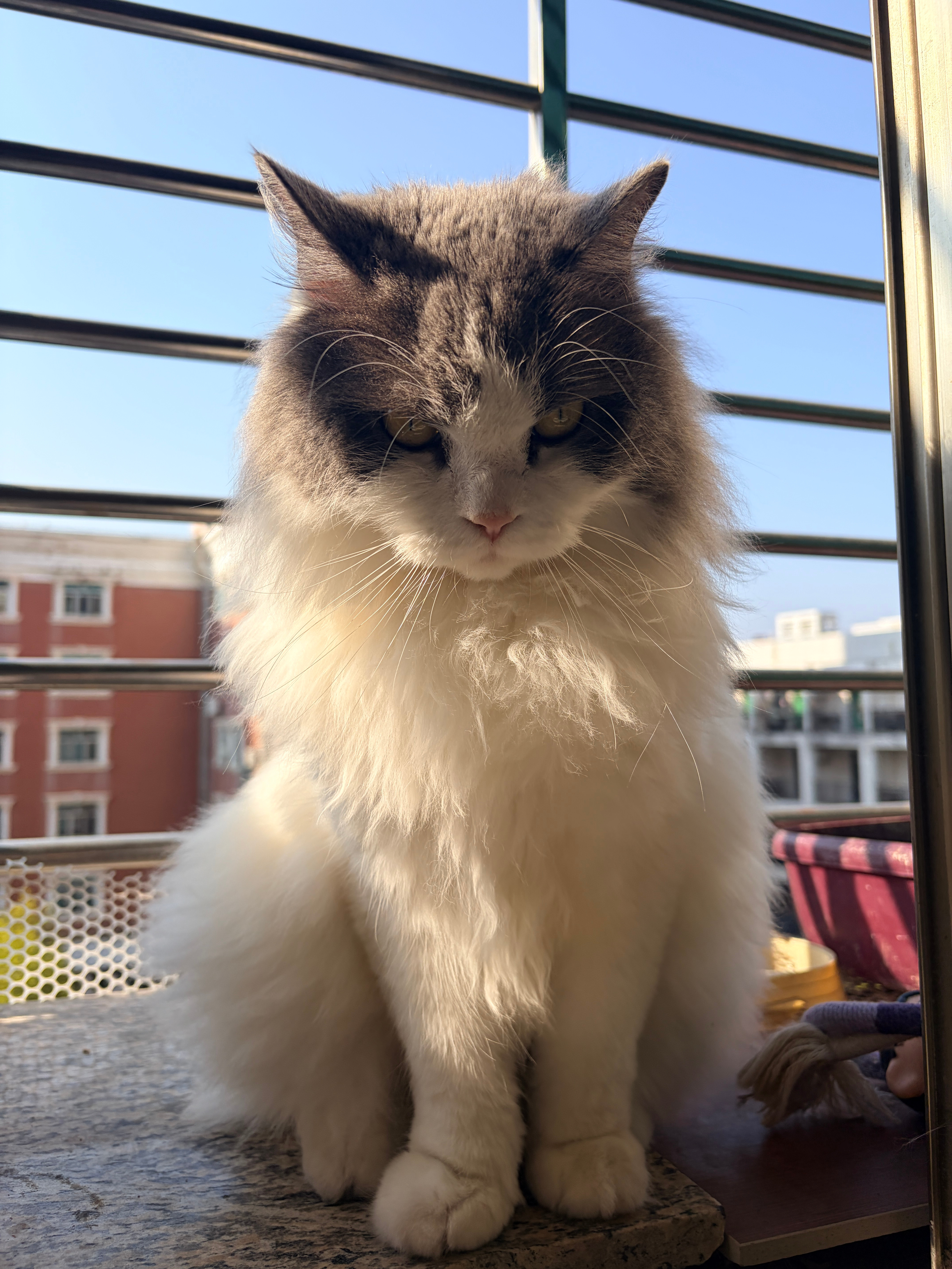 太年轻了这个借口现在真的用不了啊不过呢我又有了新的借口老了，不中用了 