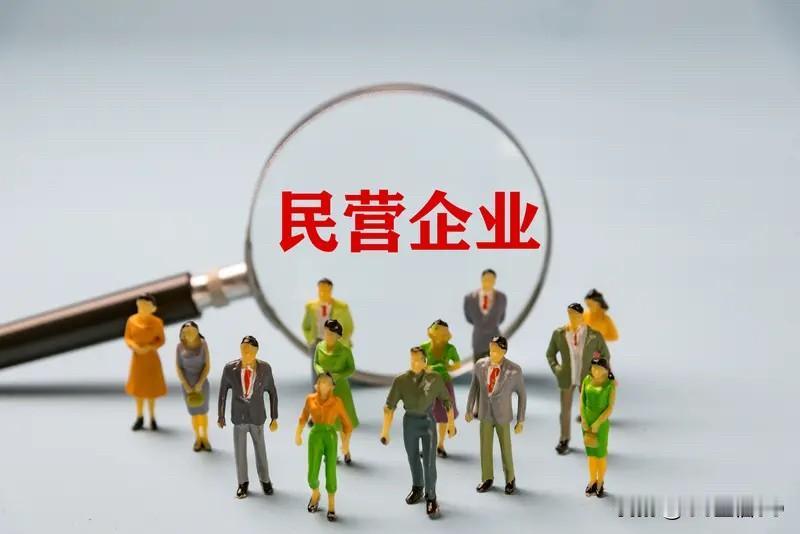国家政策;必须支持民营企业的做强做大;支持民营企业的民生供应链;完善民生企业的民