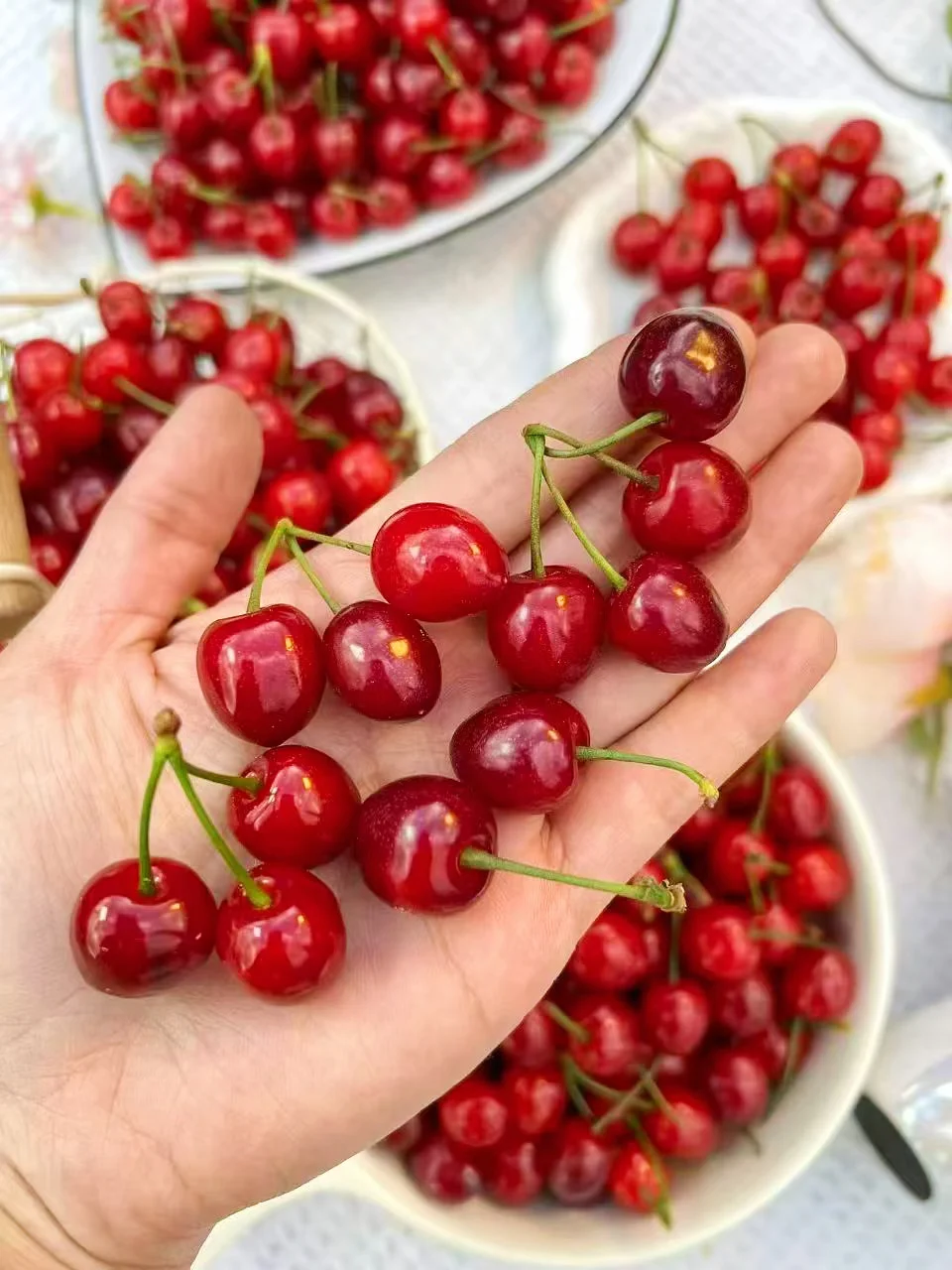 每一颗都要精品果，放心拍哦，不甜包赔！