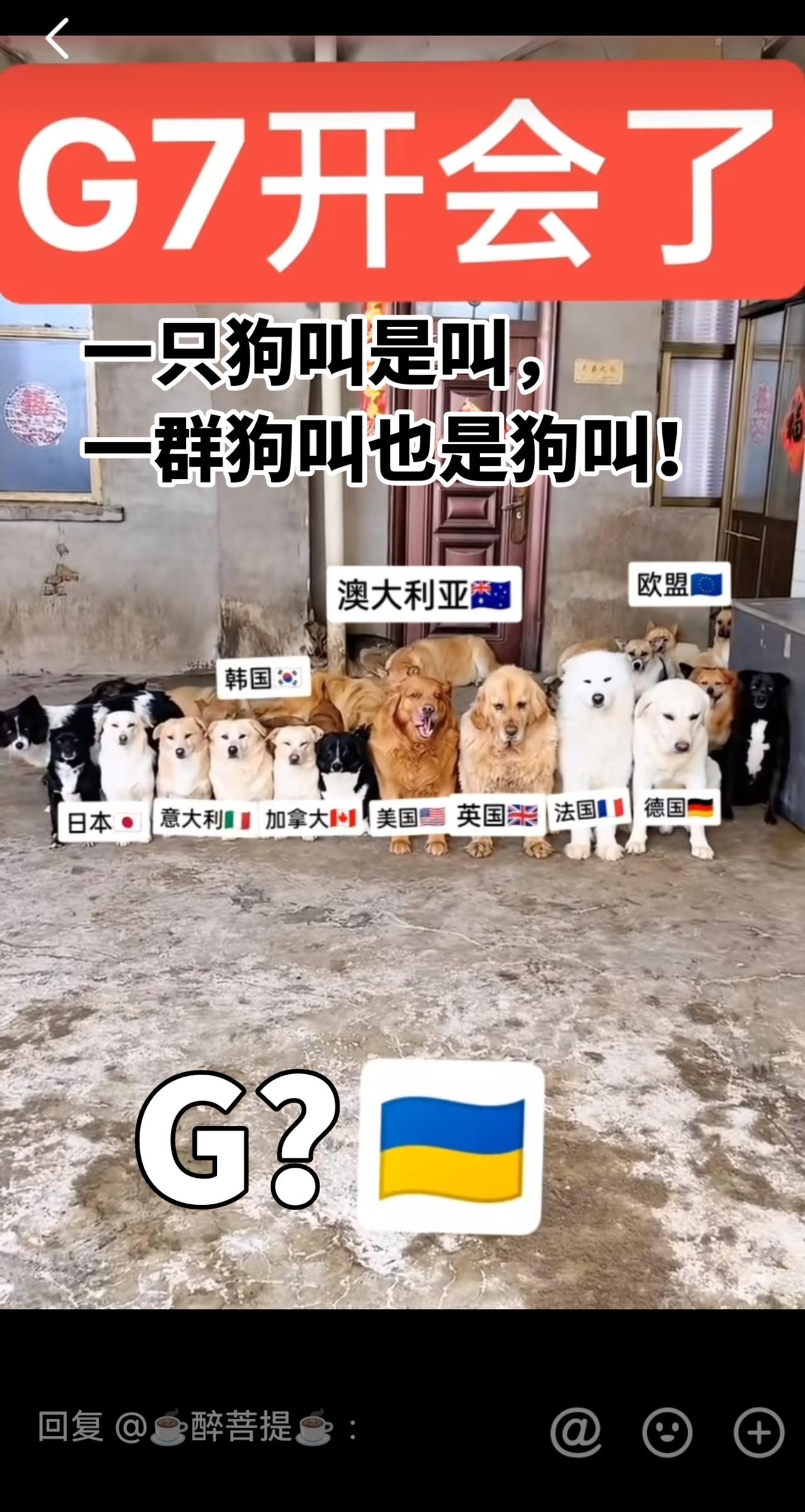 国际新闻热点 俄乌冲突 #大国外交最前线 @DOU+小助手 @DOU+上热门 @