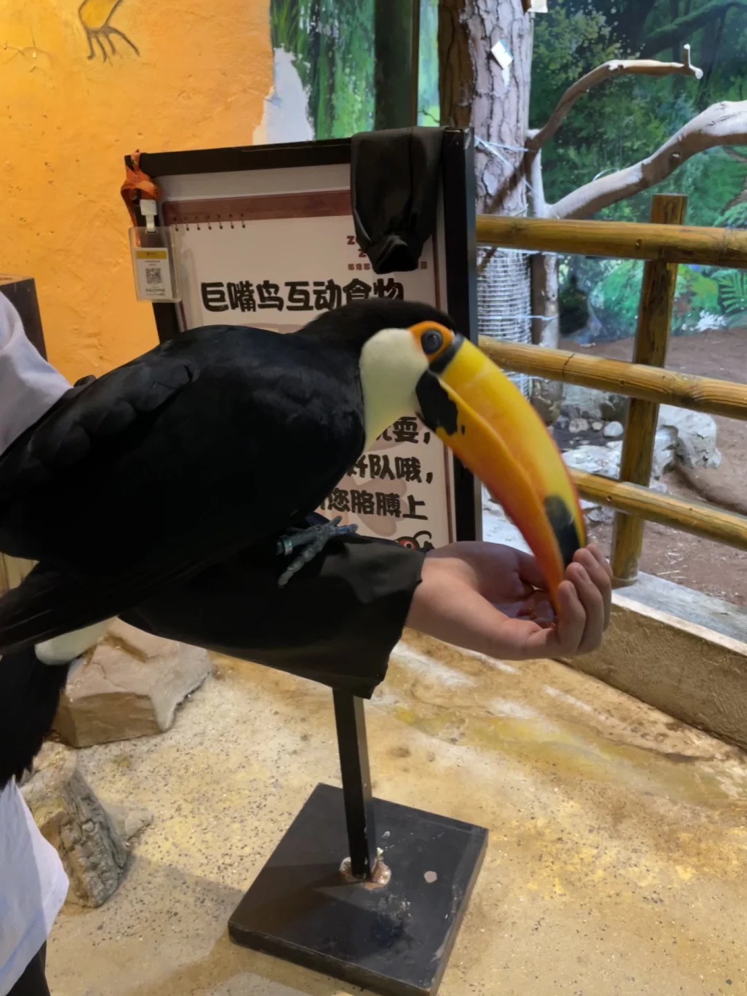 和小动物亲密接触