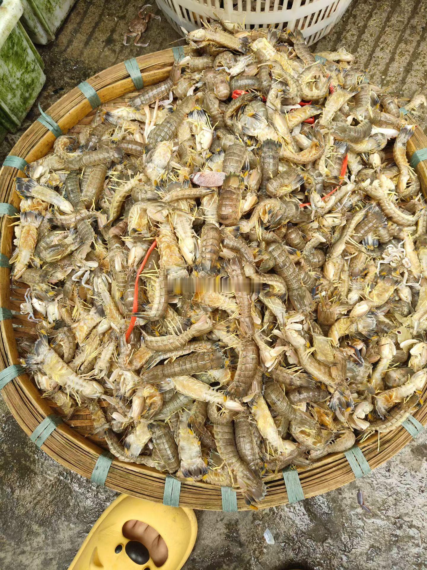 下午茶，吃这个怎样？🦀[坏笑] ​​​