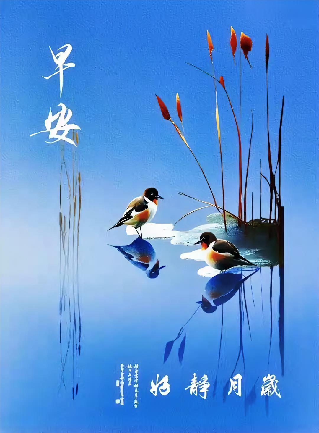 早安呀！两只小鸟在水面看倒影，好静月岁，开启元气满满的一天吧。