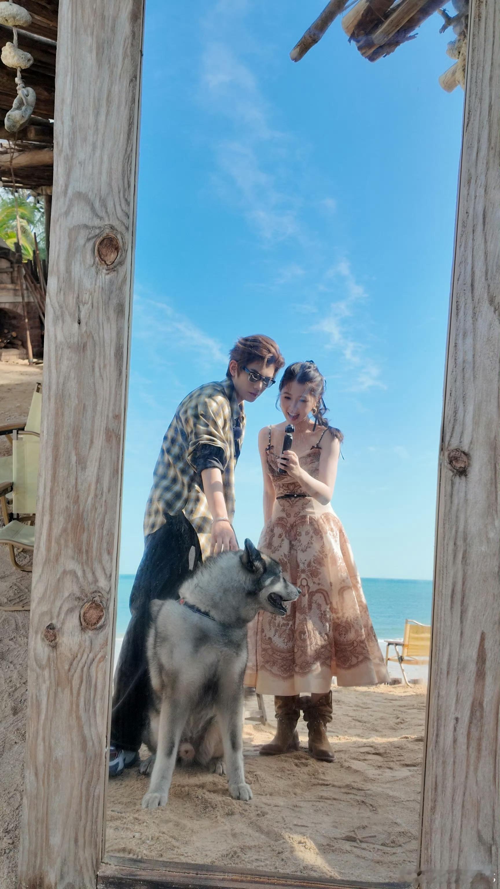 这张喜欢惨了[泪]（他们现场还管这只狗叫二狗来的[泪] 