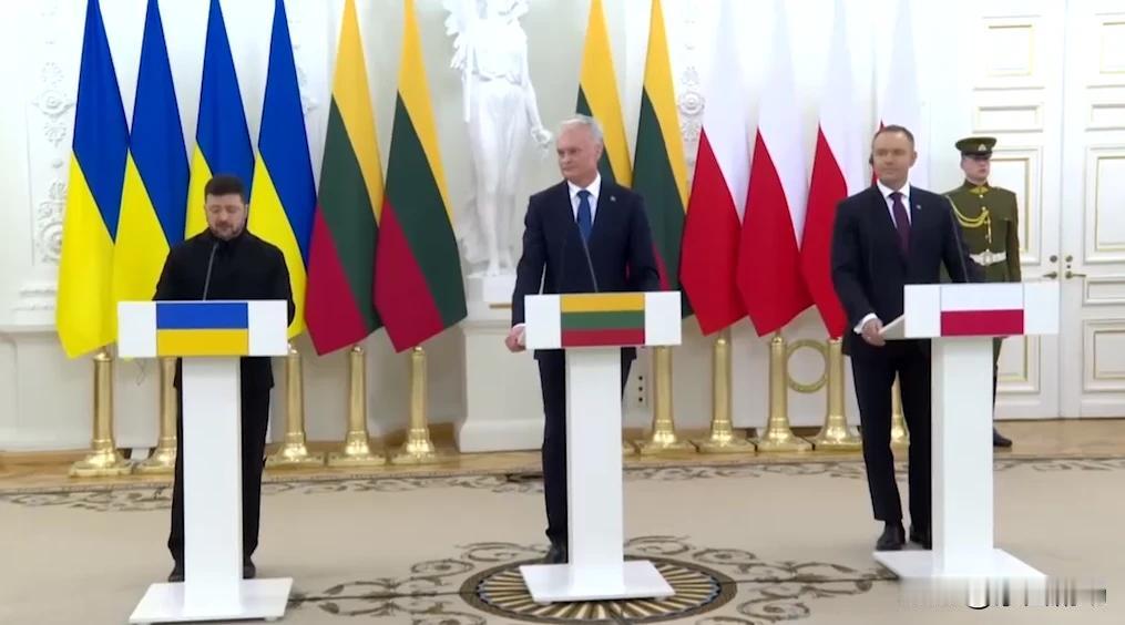 泽连斯基在维尔纽斯发表讲话时表示，乌克兰在任何情况下，都不会将领土割让给俄罗斯。