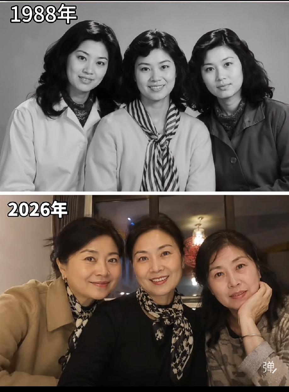 青春己逝 气质不老