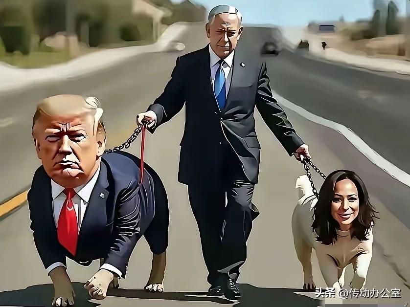 实在憋不住了，太形象了，太讽刺了，我笑出了眼泪！

刚看到的，不得不说，现在中国