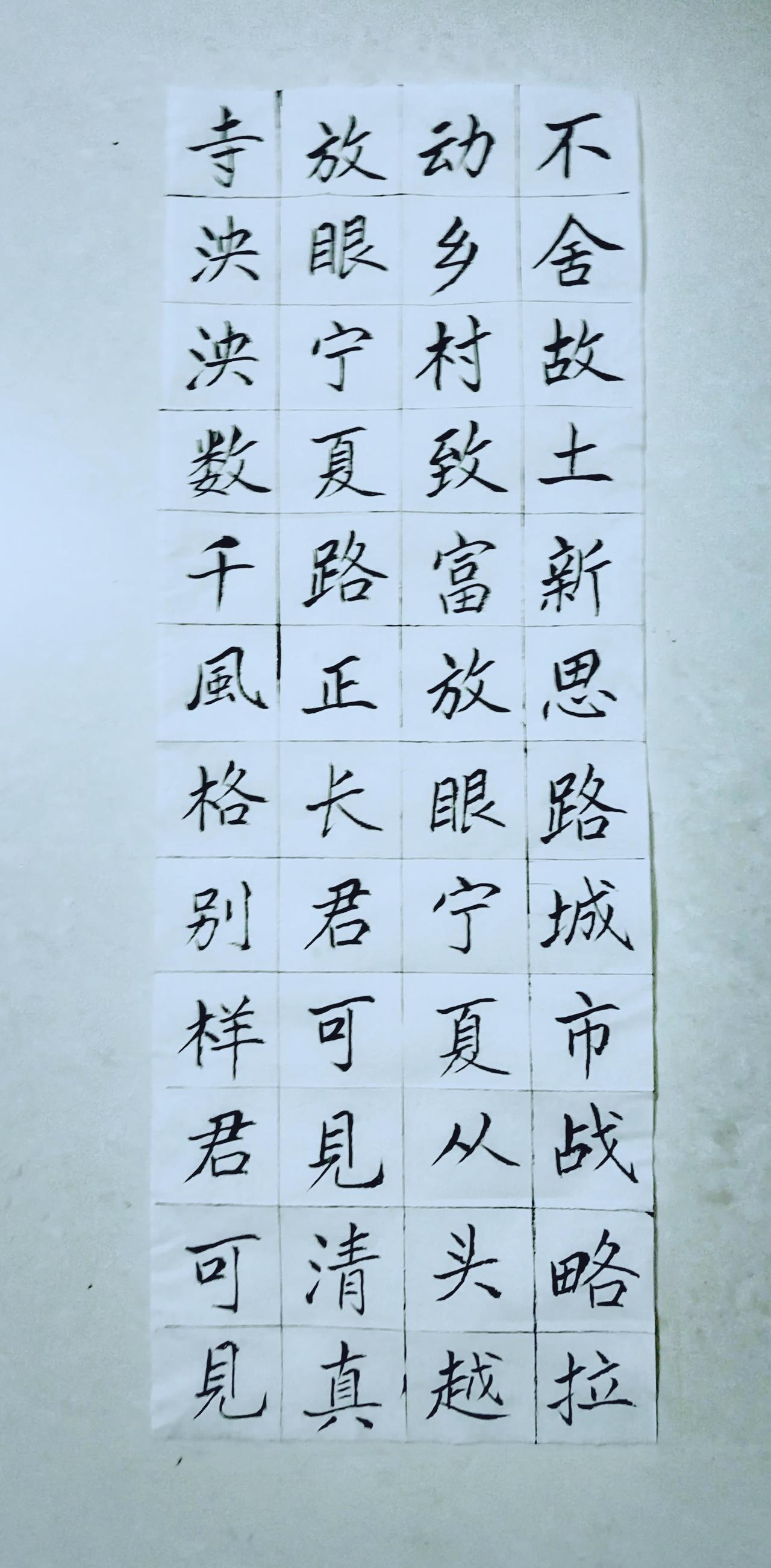 第九十四天《宁夏赋》（17）正楷毛笔练习