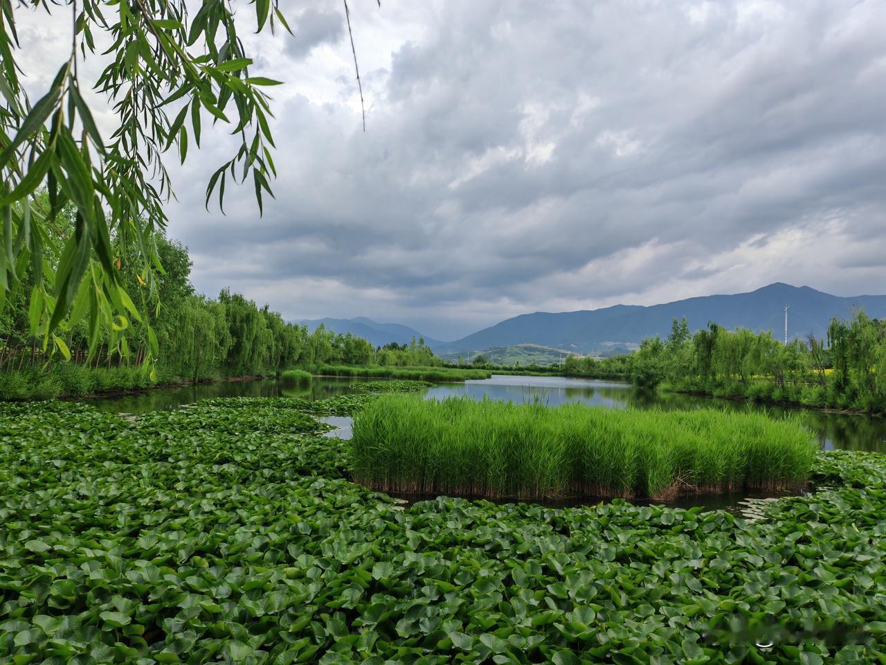 夏日生活打卡季像是生活打卡机对于我们个人来说都是一个很好的窗口，因为有了这样的窗