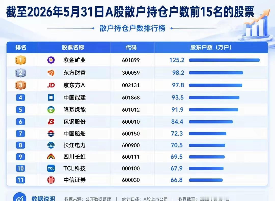 散户持仓最多的15只股，第一名居然是它？
 
截至2026年5月31日，A股散户