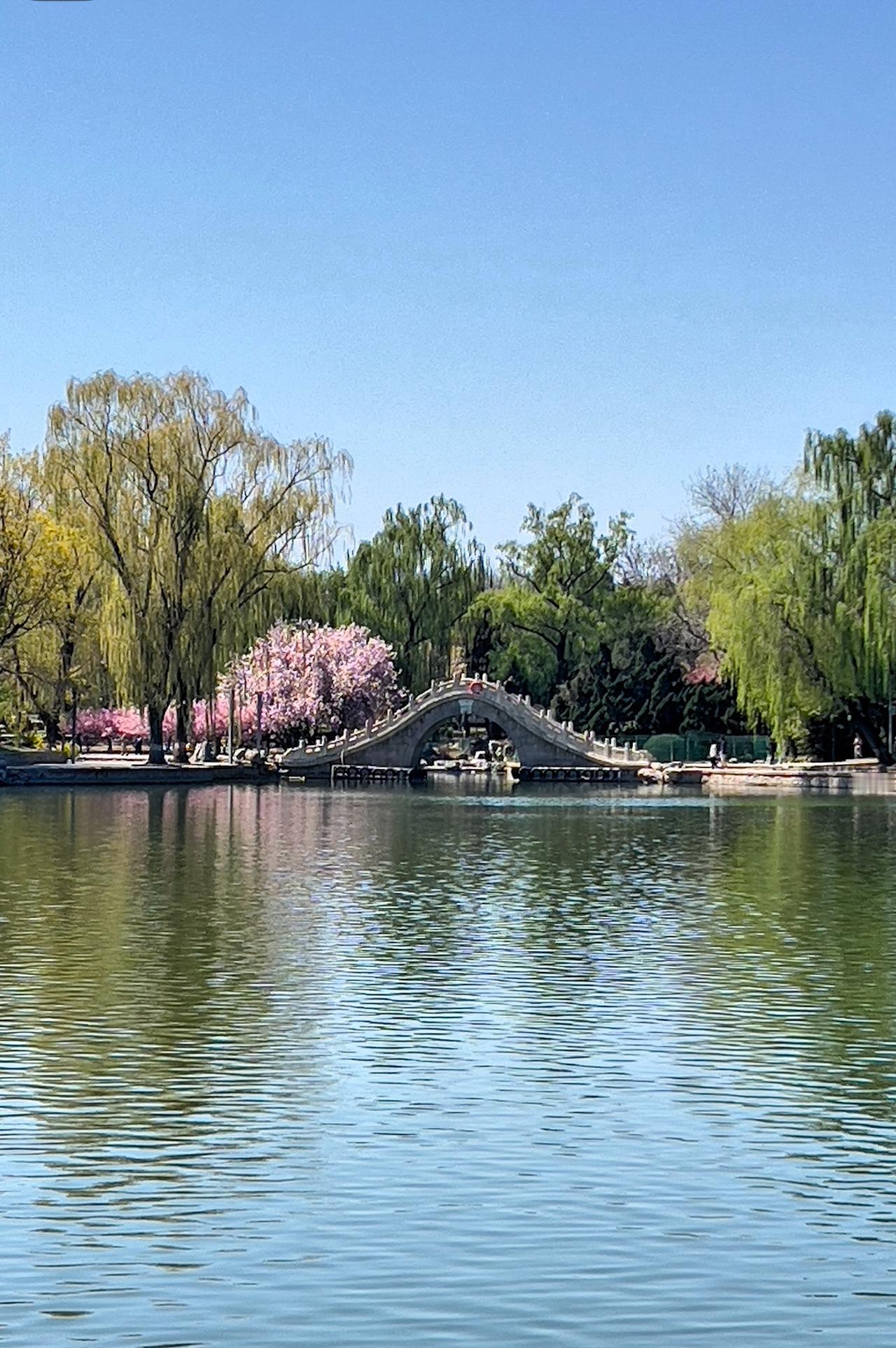 所谓通透，就是看透了生活的本质却依然热爱它，但不再强求、不再纠结、不再跟自己过不