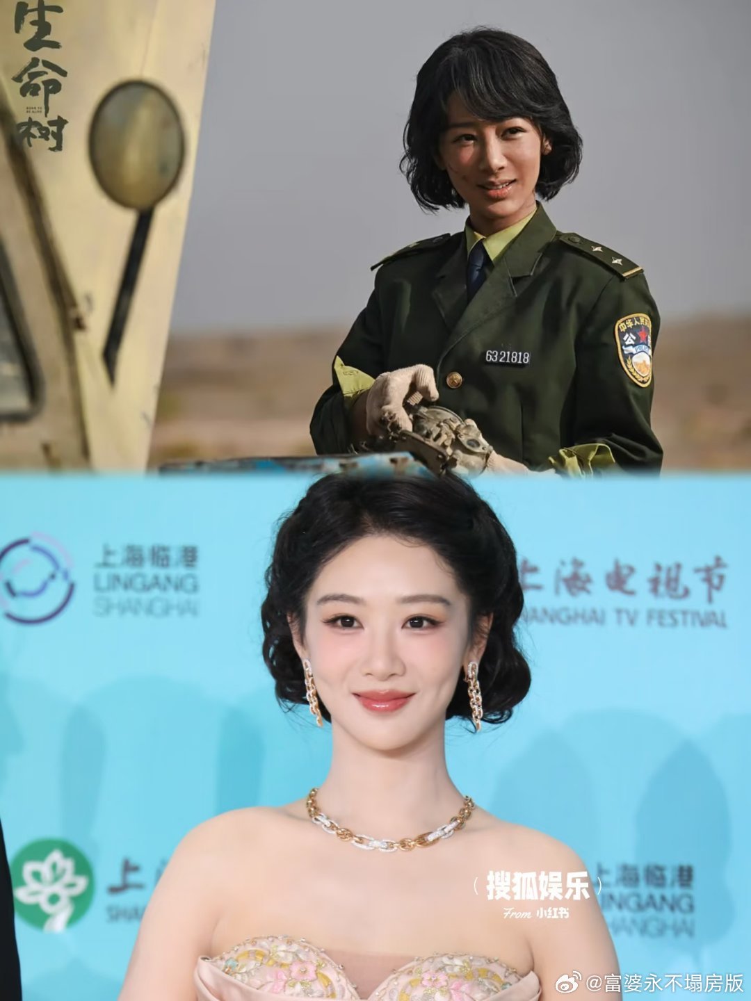 按照rs说的，所以是杨紫20多年戏龄归来仍然是新人是吗，别太好笑了，这么多年持续