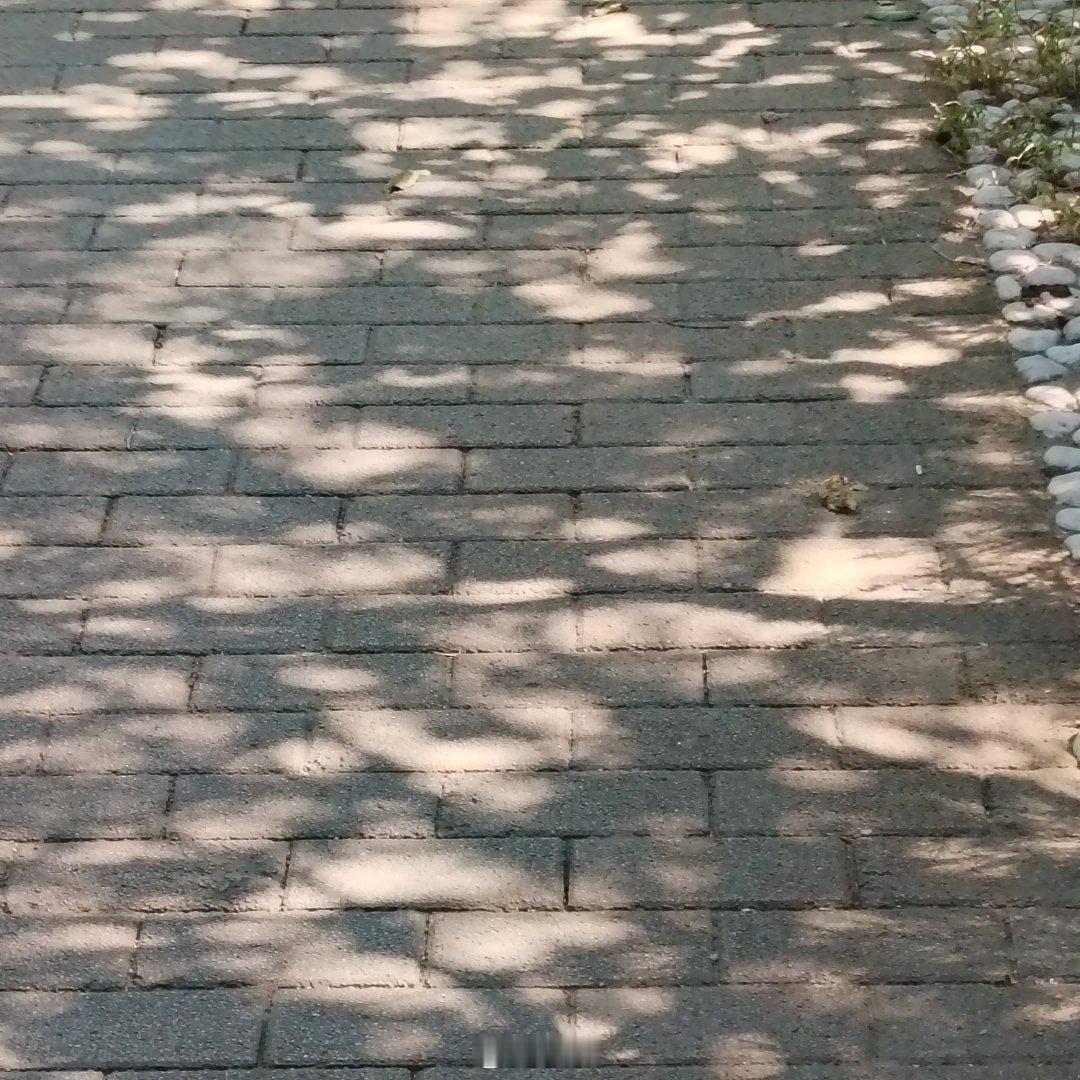美，都很短暂，易消失～ ​​​