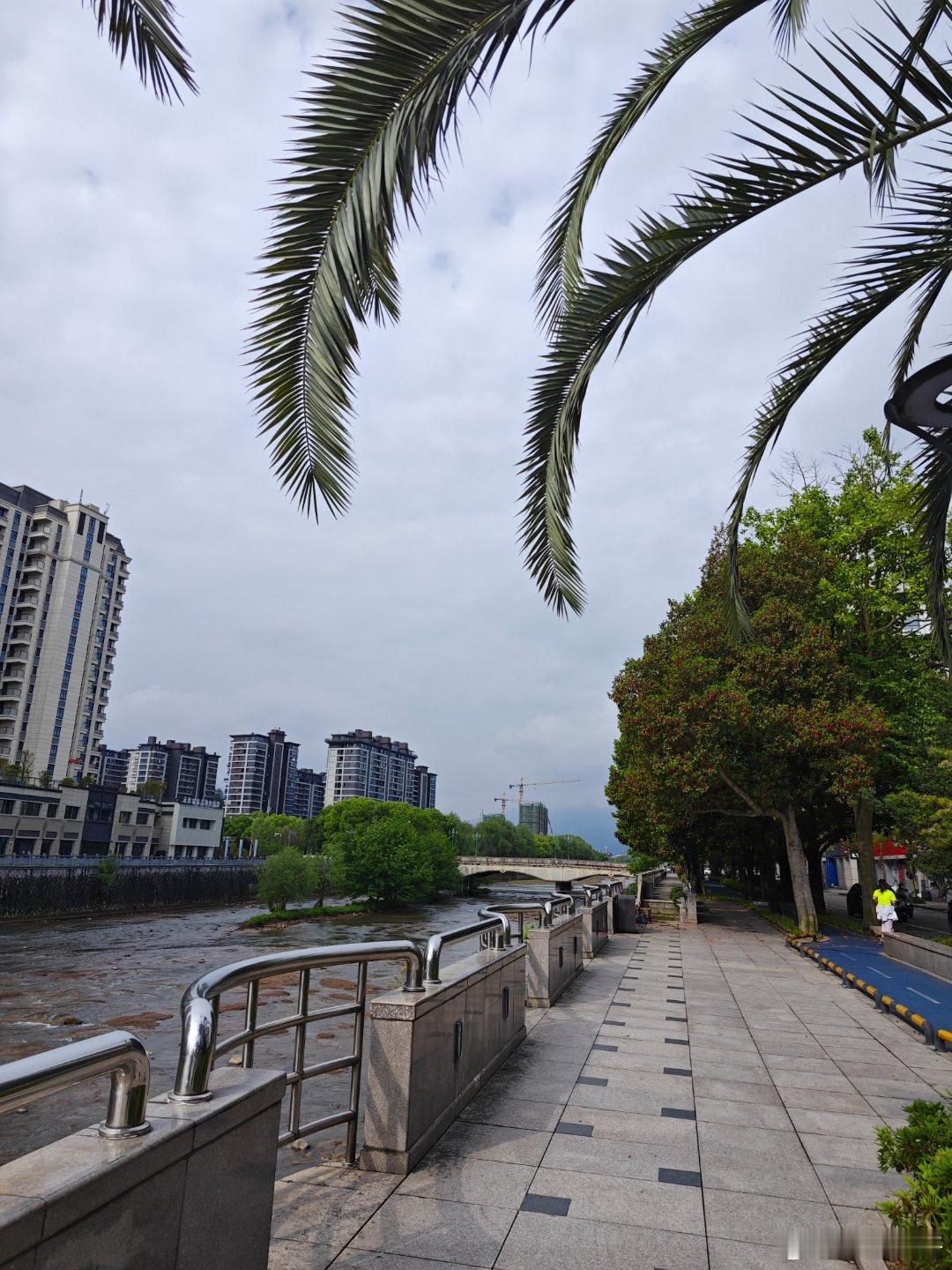 今日，晴，温暖的阳光和舒适的微风，这种好天气总是能够抚慰我的忧虑和烦恼。 ​​​
