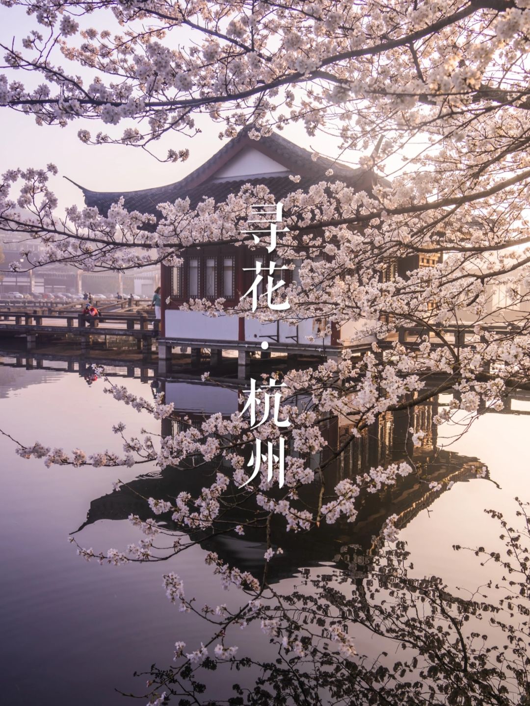 寻花杭州🌸 | 镜头下的春和景明