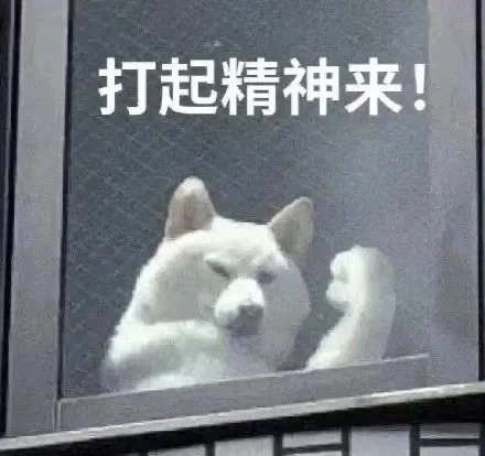 剧荒剧荒大剧荒