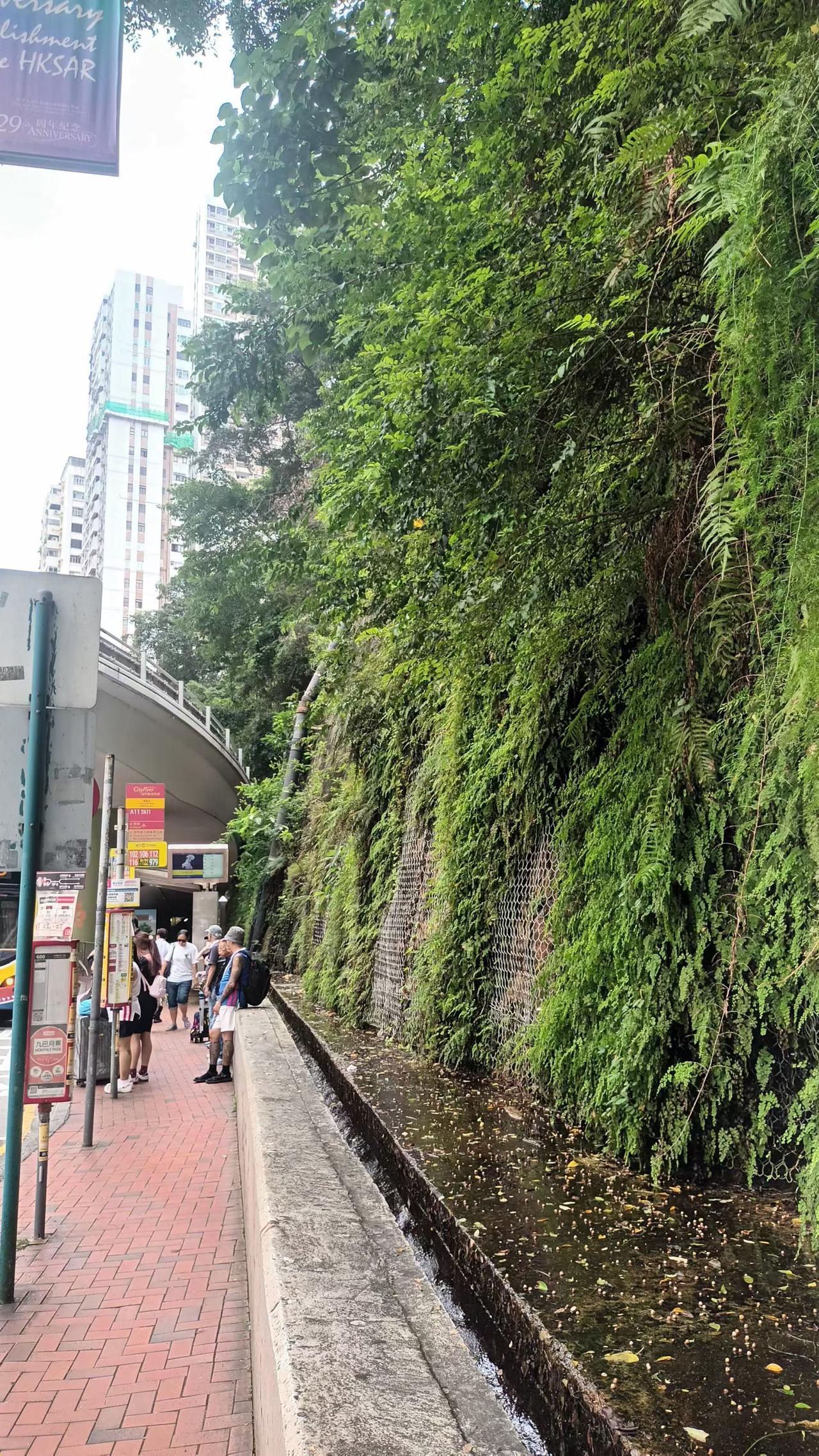 绝处逢生因地制宜峭壁建屋，香港的善变不挠劲儿。有市场便有供应，20万名菲籍家佣香