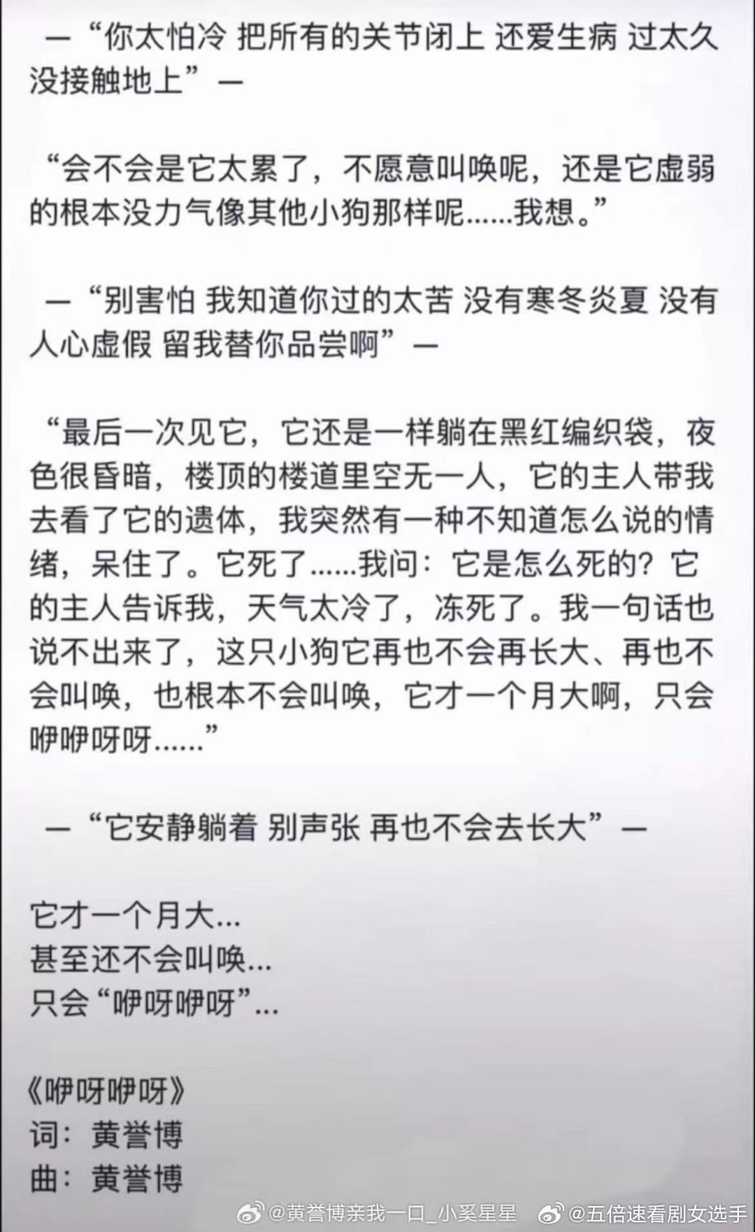 黄誉博曾为小狗写歌黄誉博为去世小狗写歌这份温柔有迹可循，黄誉博曾为小狗写下歌曲，