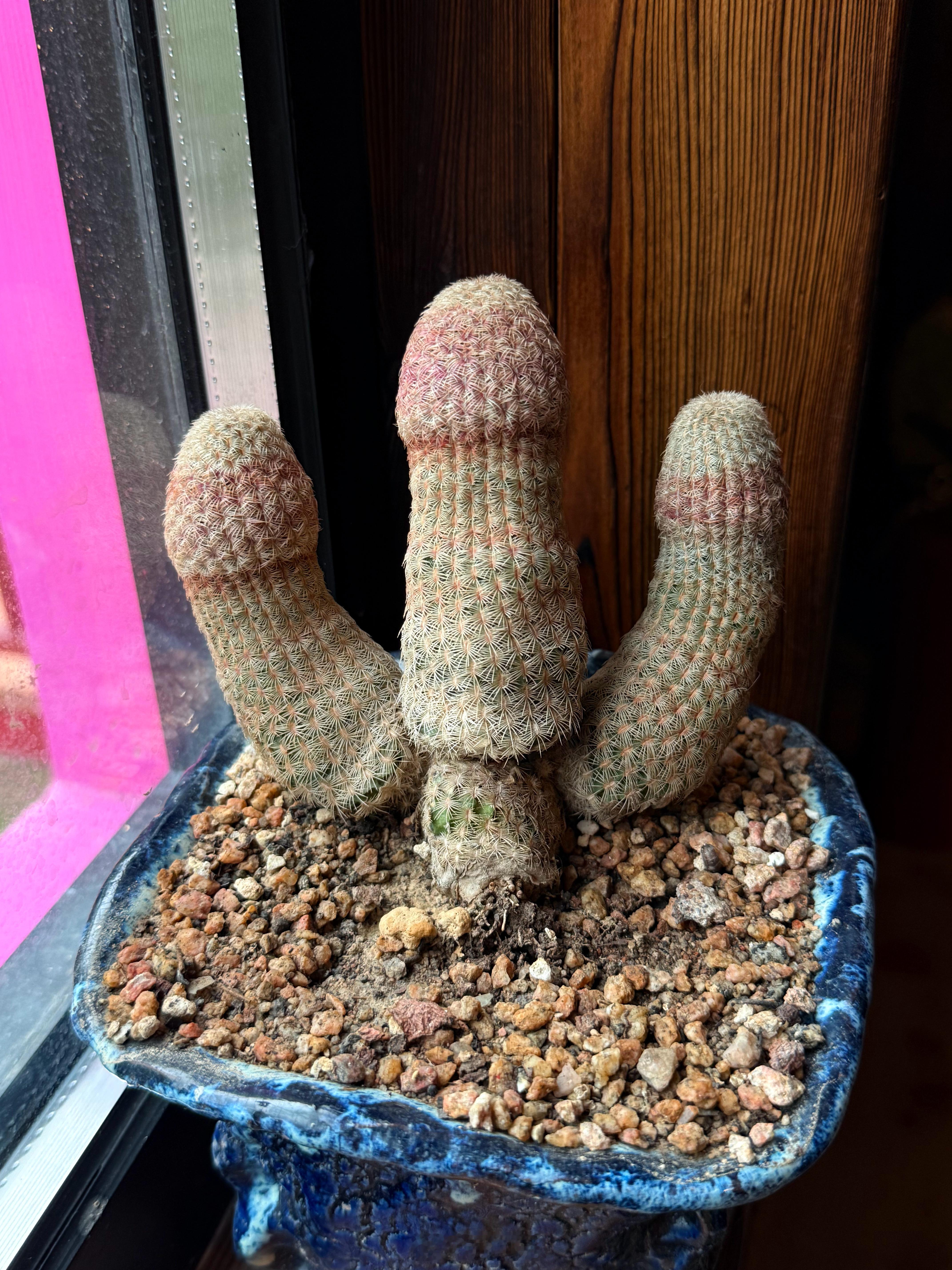 ？？？  ​​​