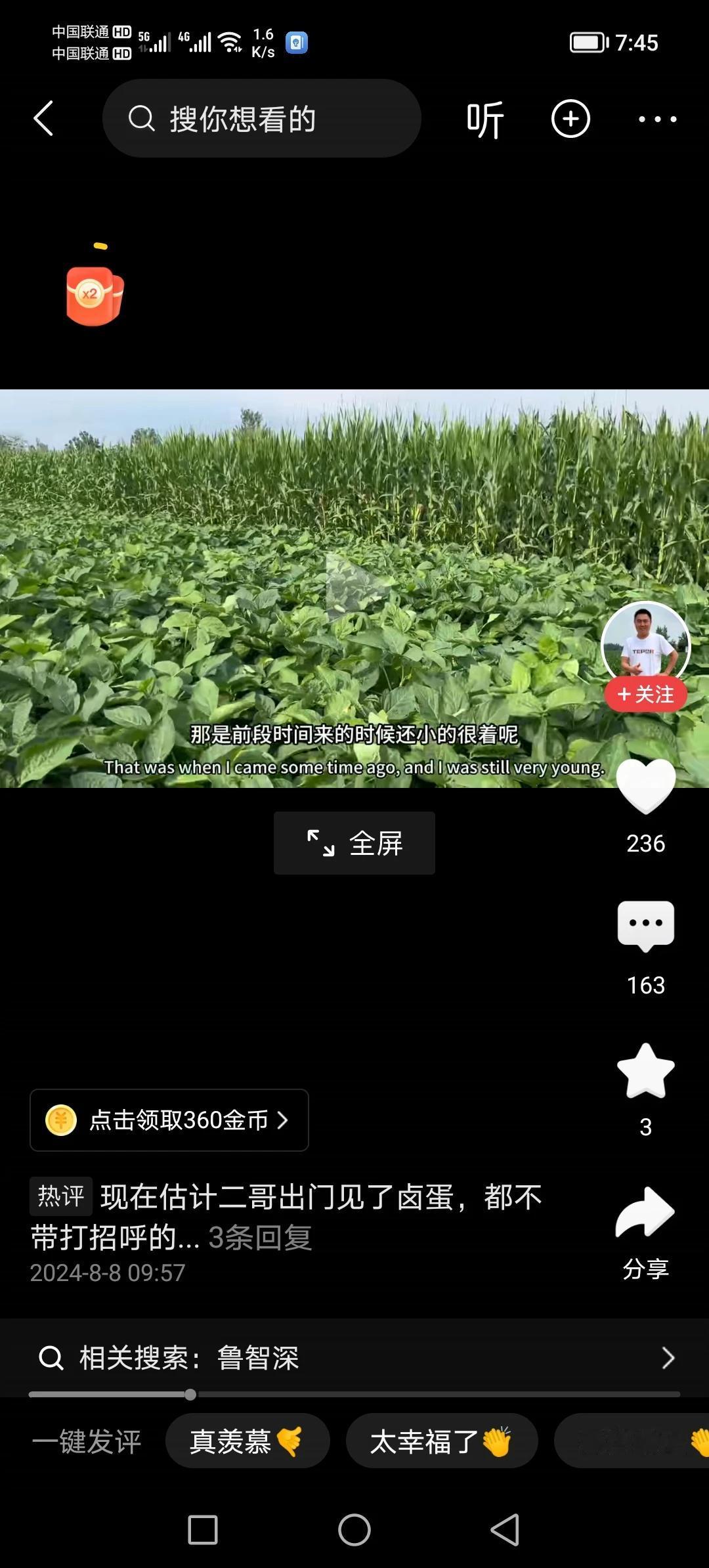图中矮的植物，哪位友友认识？