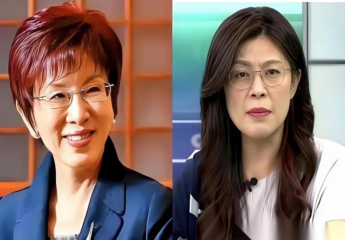 台湾那边，国民党里有两位女将，洪秀柱和郑丽文。她俩经常被人拿来比较，看看谁更明白