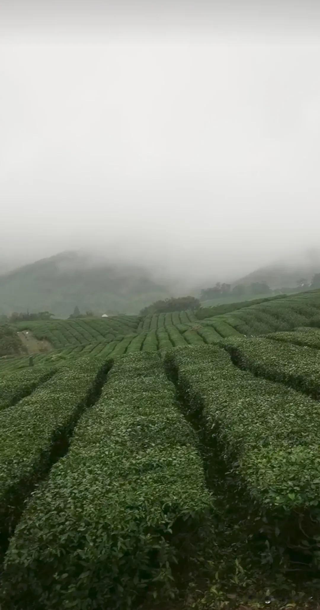 #上联：千层高山千层雾，下联怎么对#
上联：千层高山千层雾，
下联:   万条山