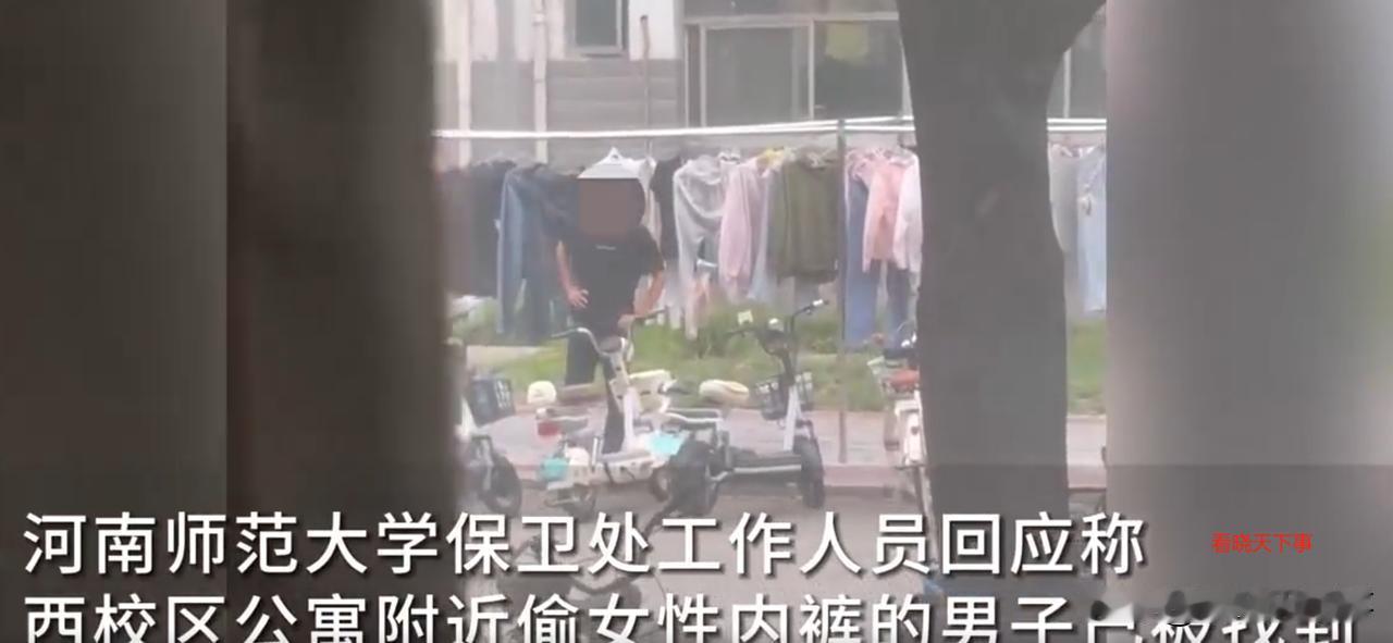 太龌龊了！网曝河南师范大学女子公寓楼下，一名男生来到晾衣杆附近，精准的选中一条女