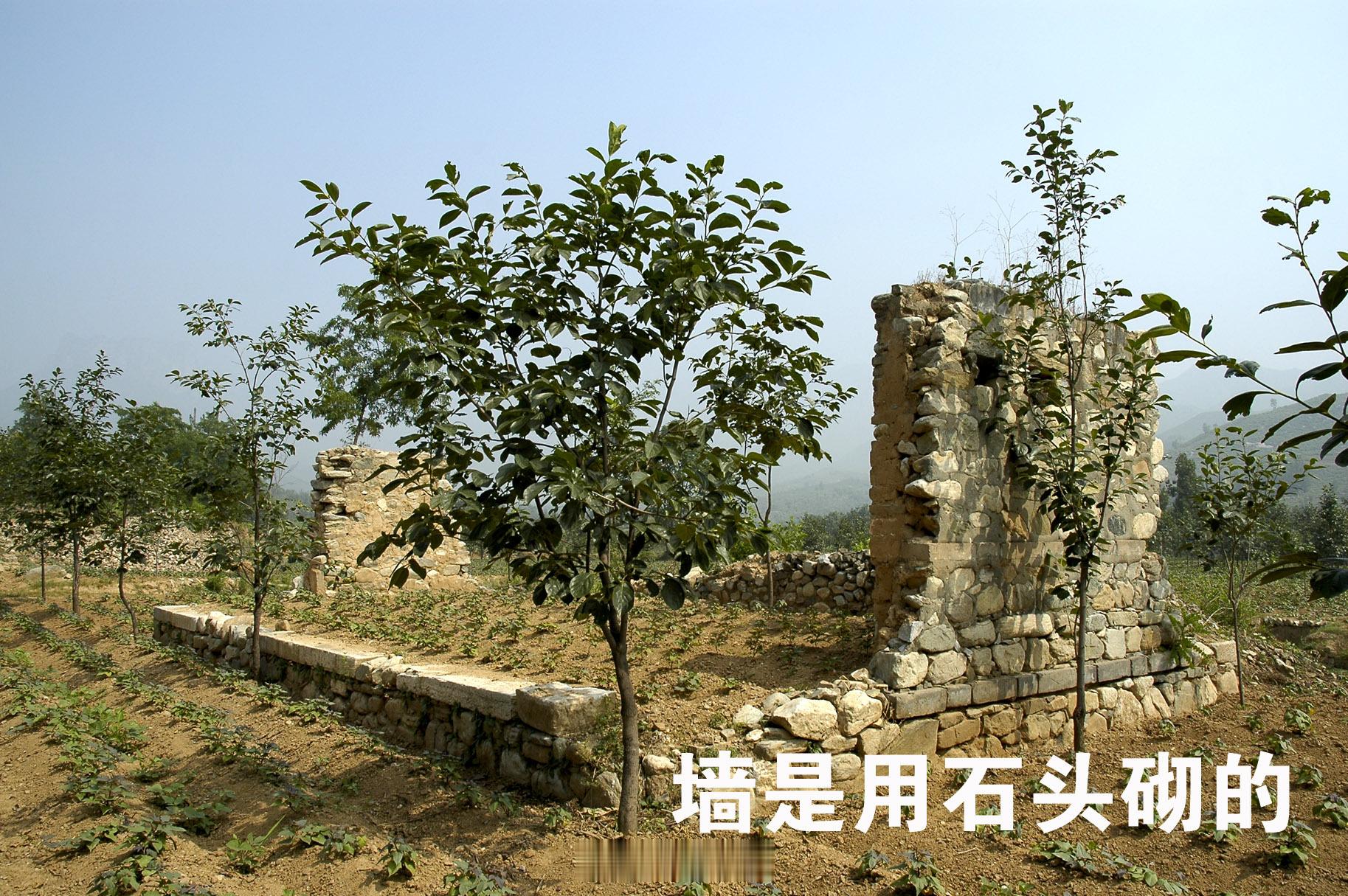 允礼是和硕果亲王，是乾隆帝即位初的总理事务大臣，权威日重，颇受乾隆帝倚重。没想到