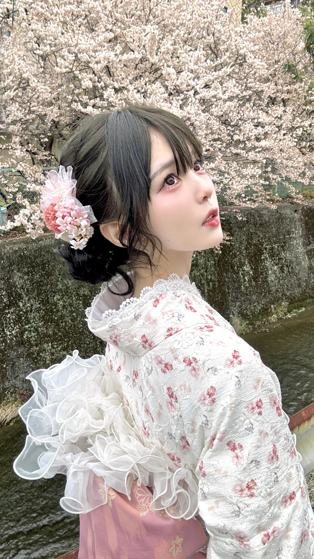 京都🌸 𝗽𝗹𝗼𝗴