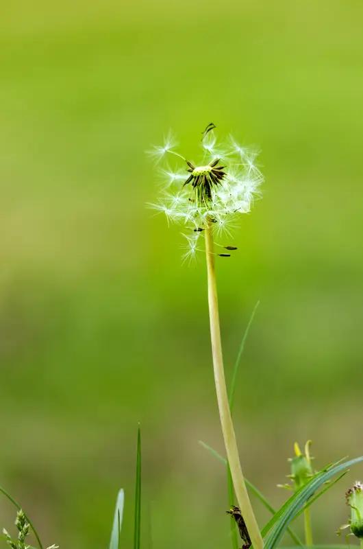 这“日有所盼夜有所梦，体有所需梦有所应”还挺有意思。就说梦见尿床这事，周公解梦说