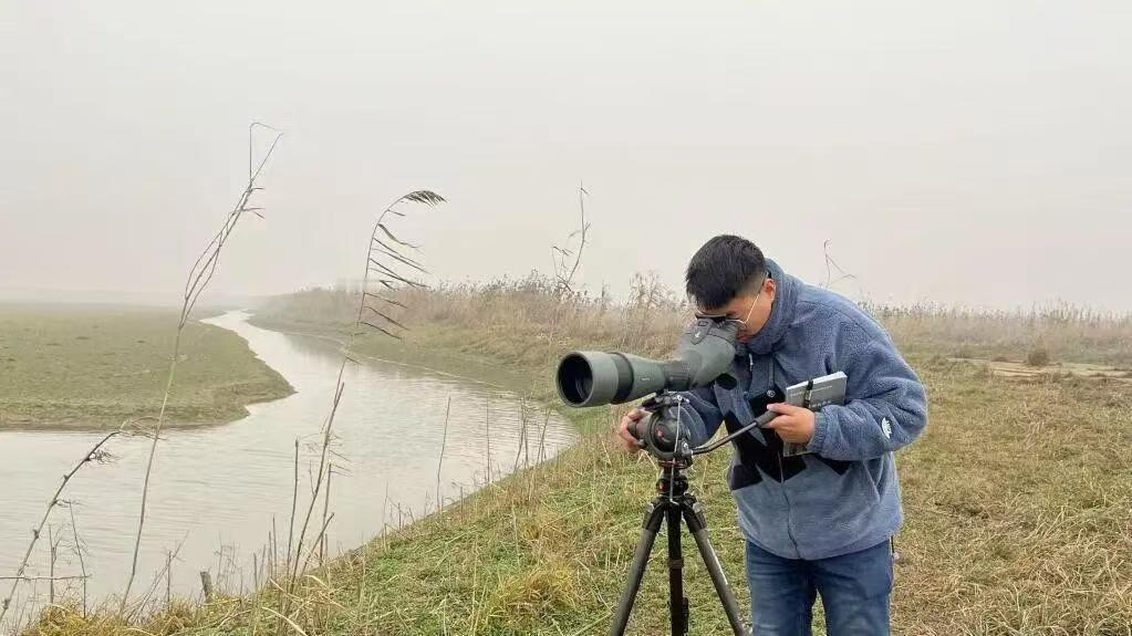 46.52万只。这不是一个冰冷的数字，这是湖南省在2024年至2025年越冬水鸟