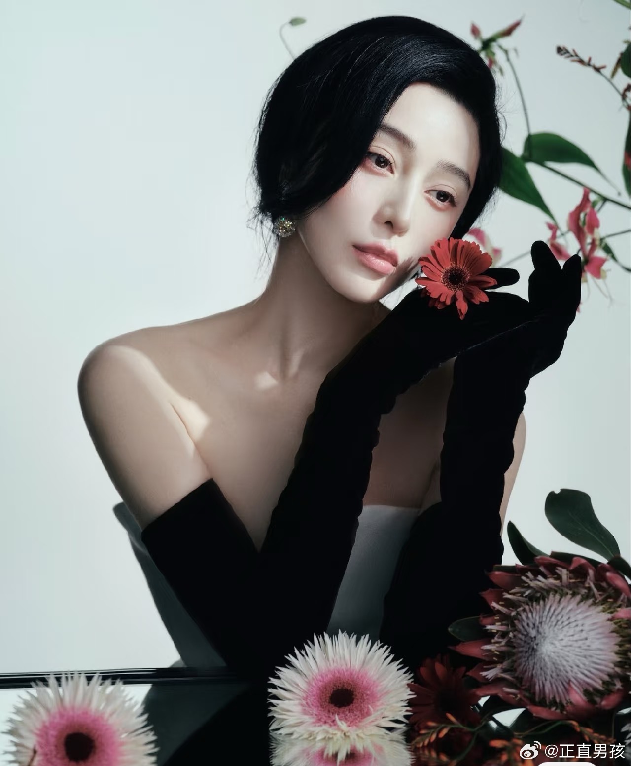 55 唯有牡丹真国色 