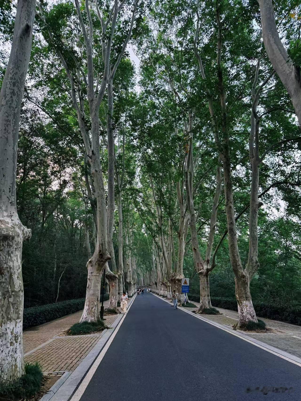 人活一世，奔波忙碌大半辈子，都在追逐财富、名利与风光。年少时，我们以为有钱、有权