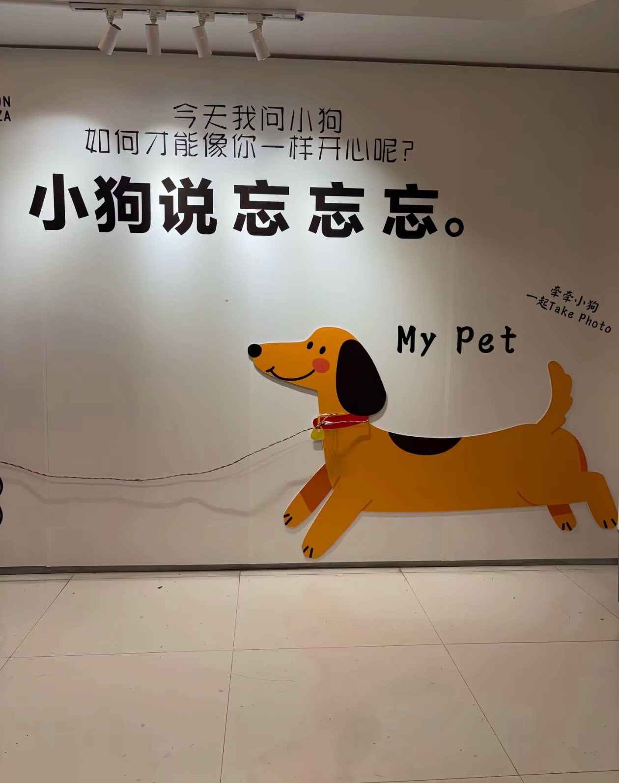 防止你不知道：怎么才能像小狗一样开心 