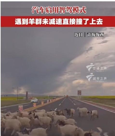 完了，都说网上的测试不能信，这回来了个真的。看网上有个在青海开着辅助驾驶的，车主