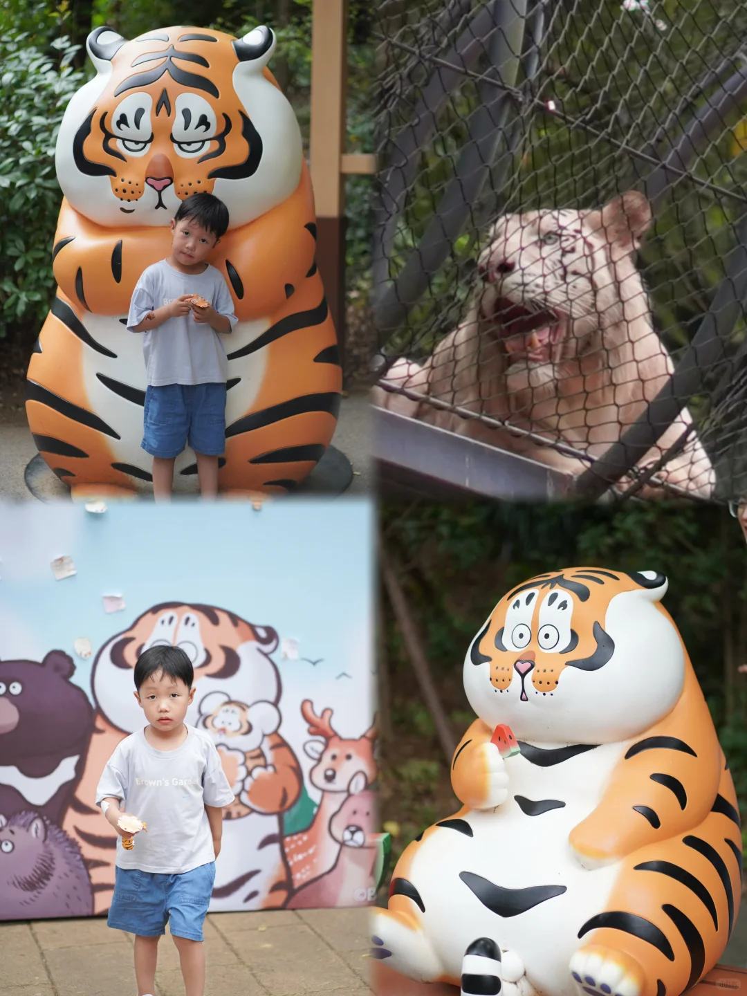 带娃打卡“我不是胖虎×红山动物园”🐯💕