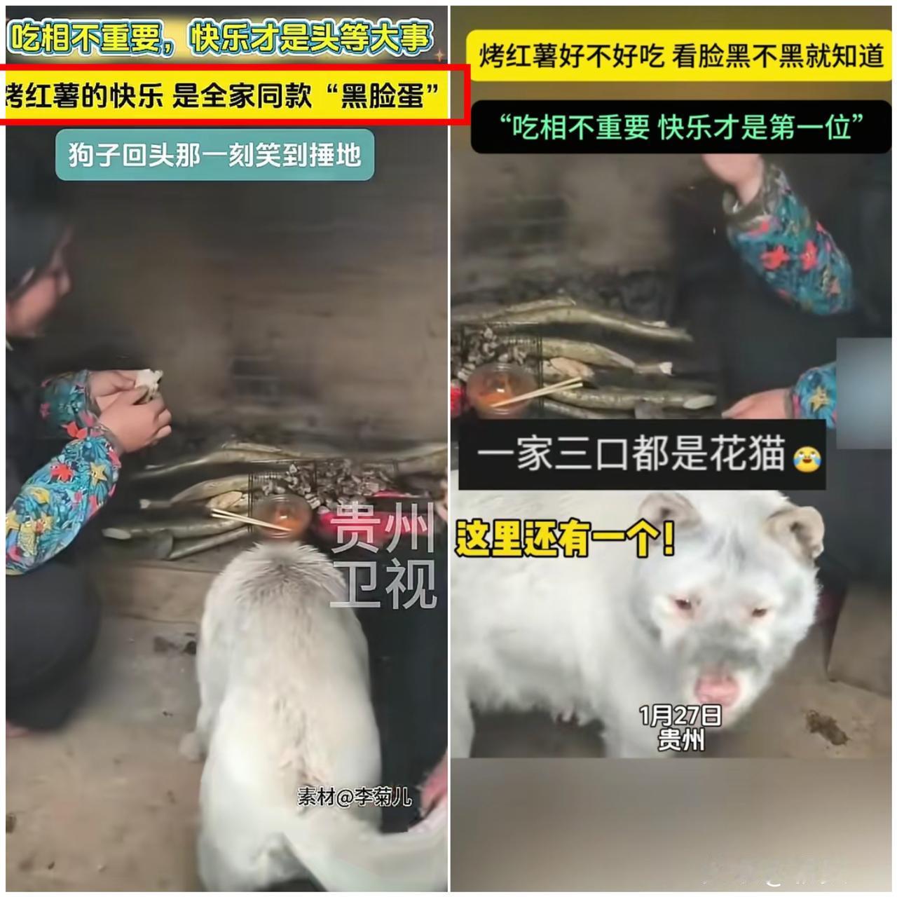 笑不活了！

贵州一家人吃烤红薯，居然吃出了全网同款“烟熏妆”，连家里的狗子都没