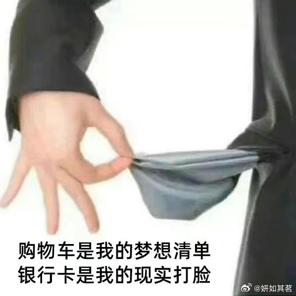 #看看你的双11购物车#购物车是我的梦想清单，银行卡是我的现实打脸 ​​​