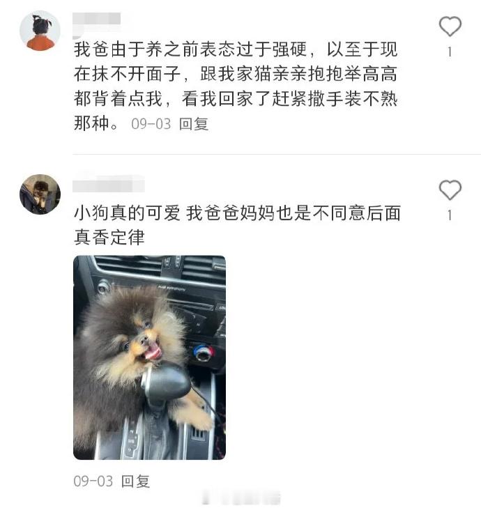 “你只管把宠物带回去，剩下的交给宠物” 