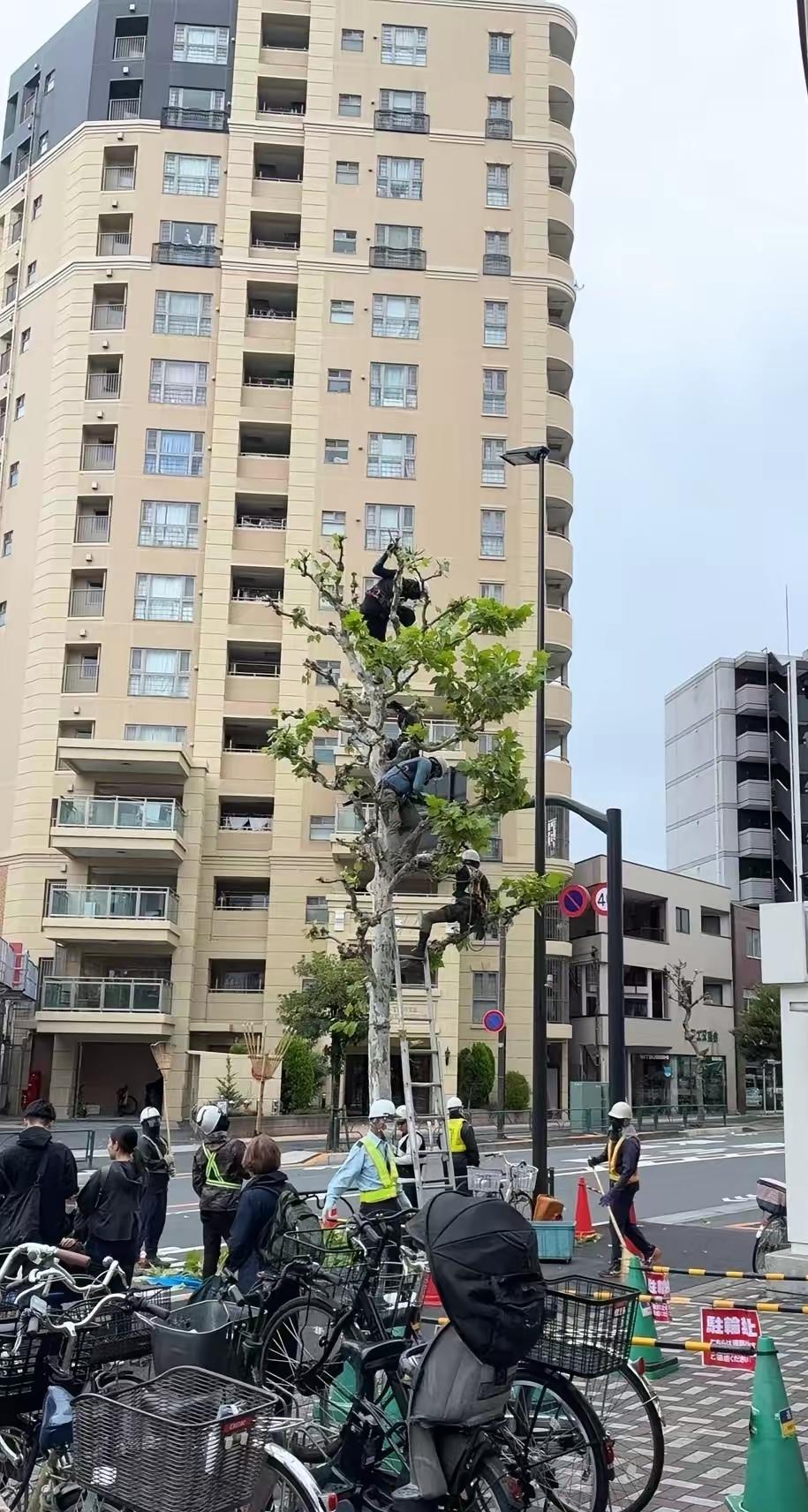 终于知道为啥日本人员短缺了。
 
这根本不是“缺人干活”那么简单，是整个社会的“