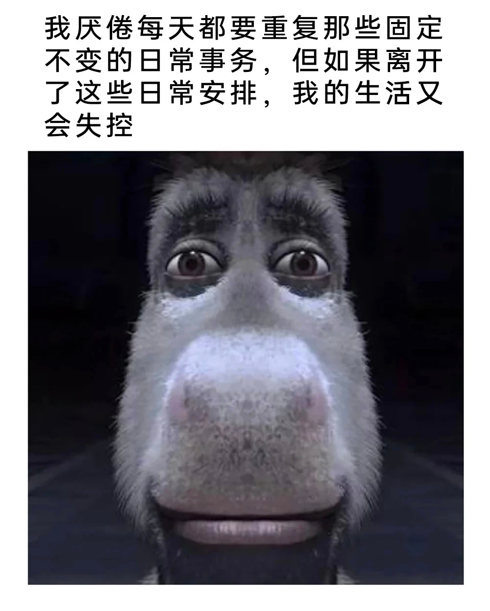 厌烦规律，又离不开现状memes
