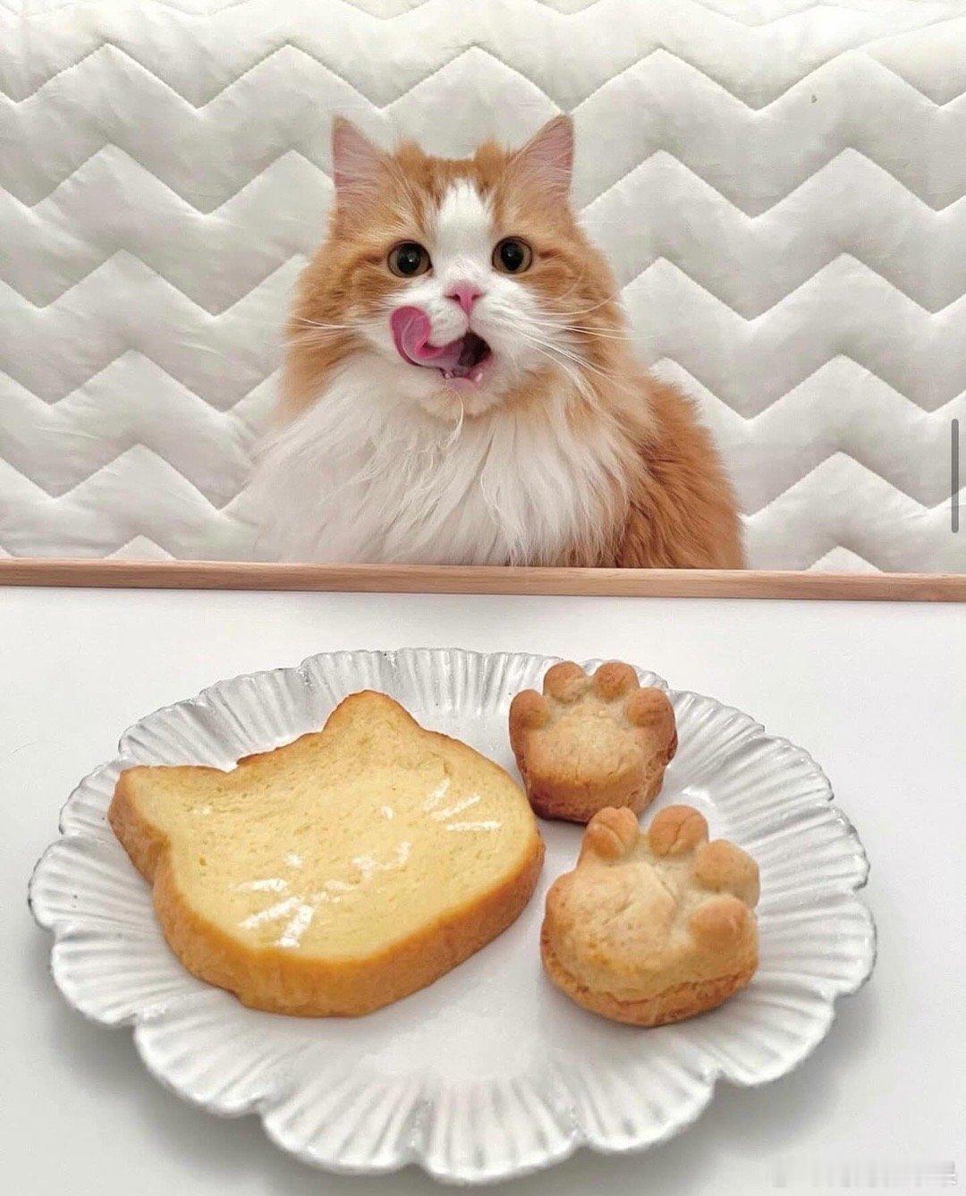 🐾cr：poporoncat ​​​