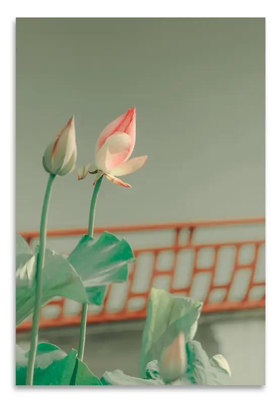 上联：细雨悠悠敲旧瓦，求下联和风慢慢抚新荷