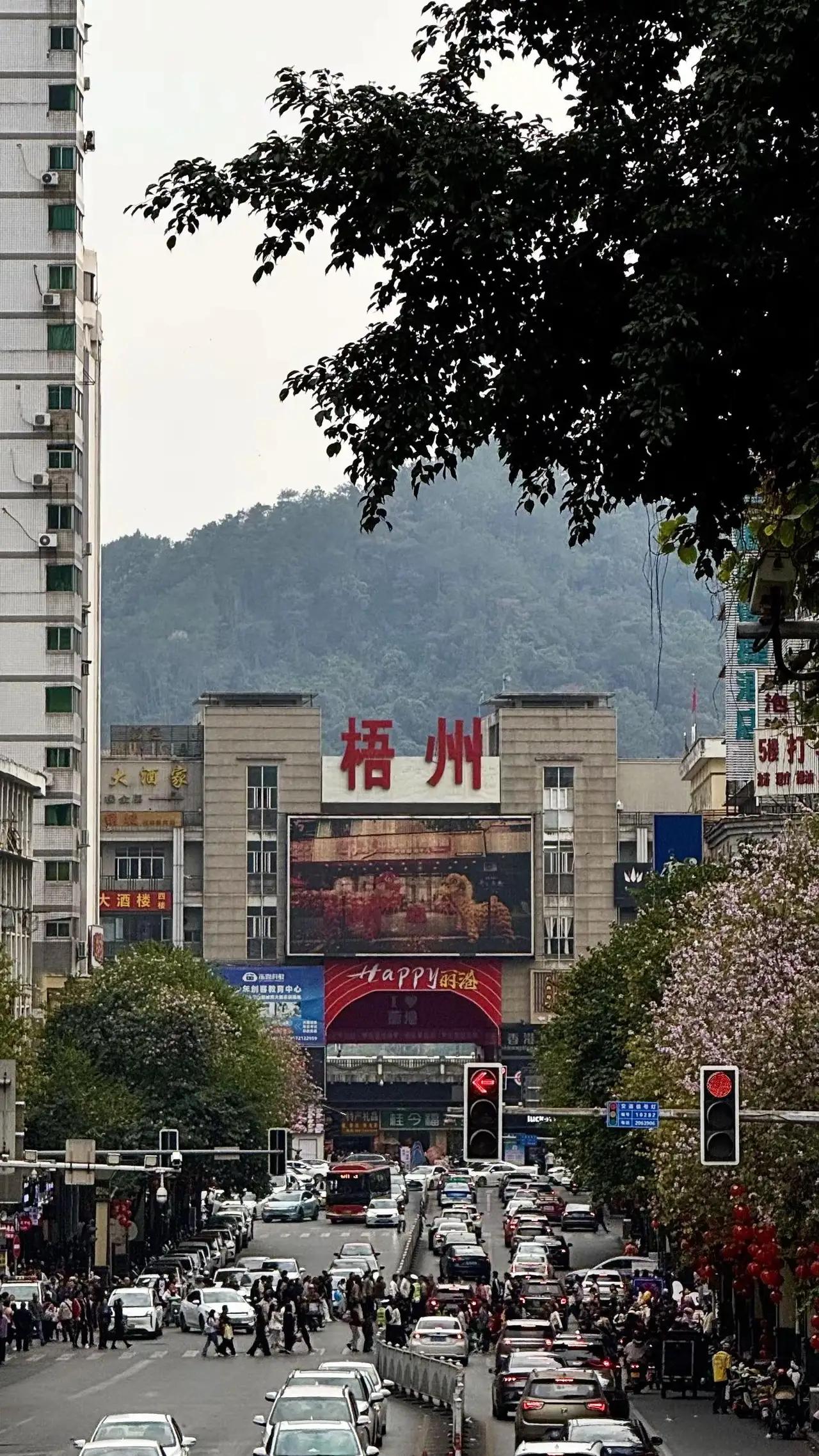 繁华梧州街景，车水马龙闹市中