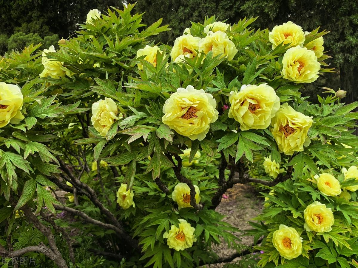 智慧往往是从伤痛中汲取的。只有经历过伤痛并挺过来的人，才能真正拥有智慧。那些让你