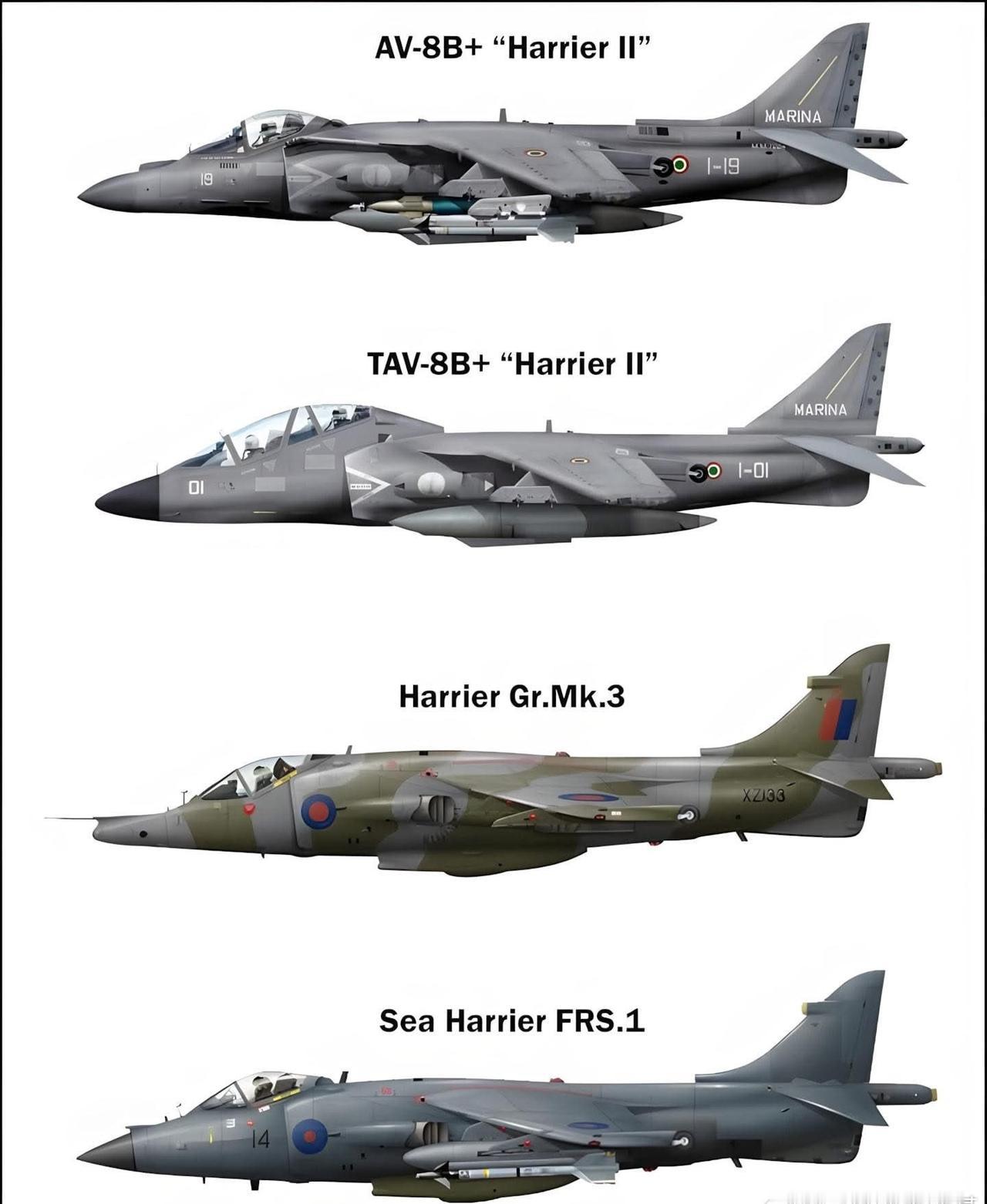 鹞式战斗机的集中改进型号。
鹞式战斗机是世界上第一种实用型垂直/短距起降战斗机。
