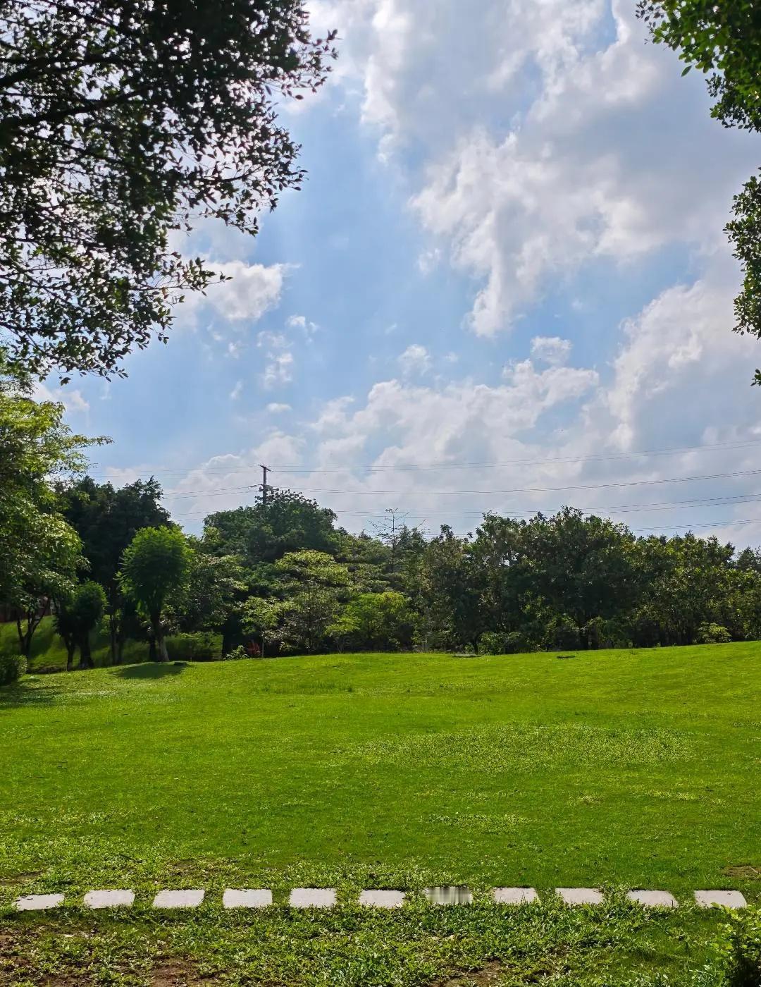 躲进儿童公园，治愈所有上班的不开心🌿 谁懂啊，这初夏广州的绿意🌿成年人去儿童